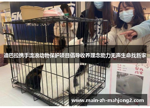 迪巴拉携手流浪动物保护项目倡导收养理念助力无声生命找新家 迪巴拉携手流浪动物保护项目倡导收养理念助力无声生命找新家